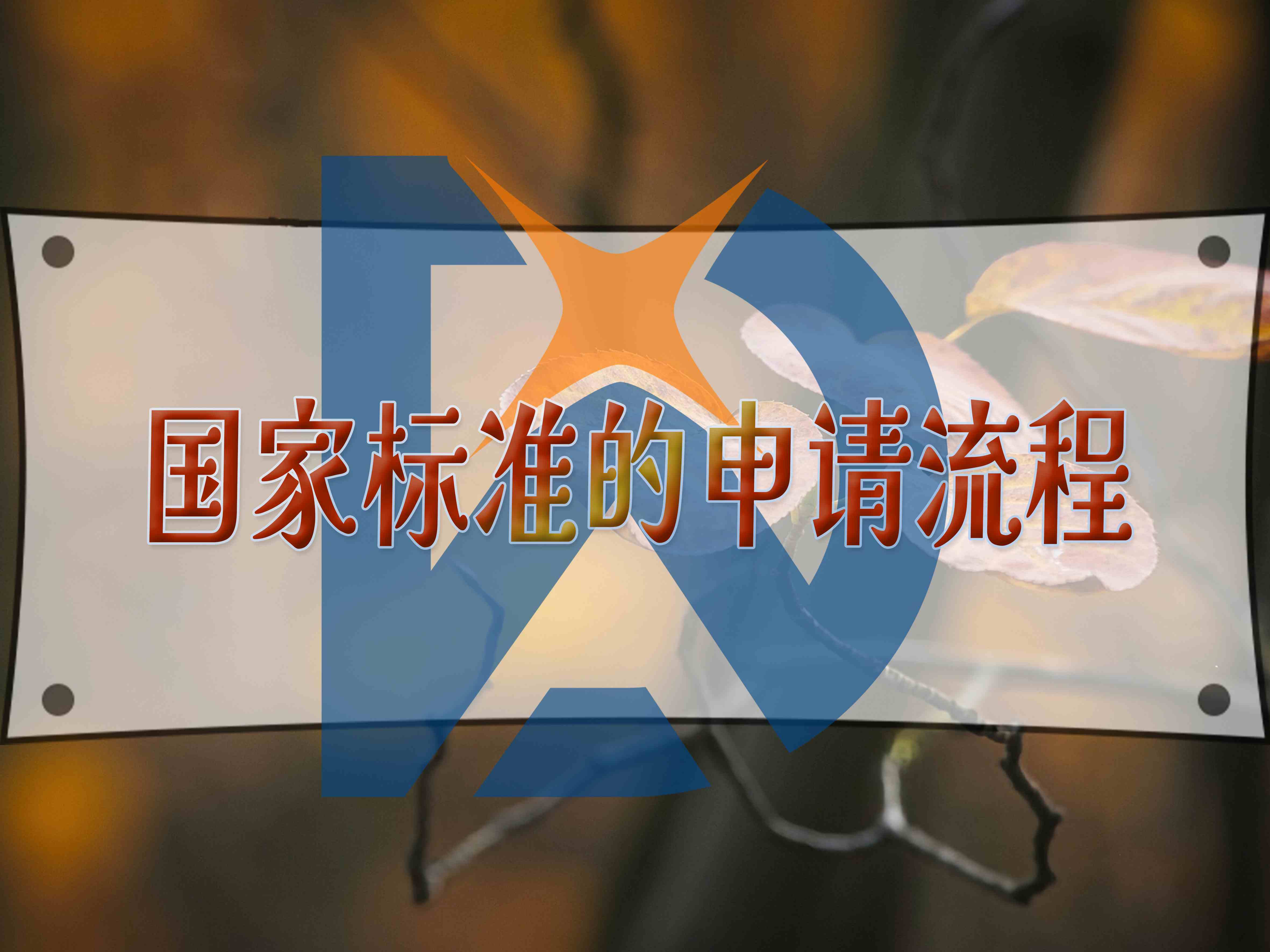国家标准的申请步骤