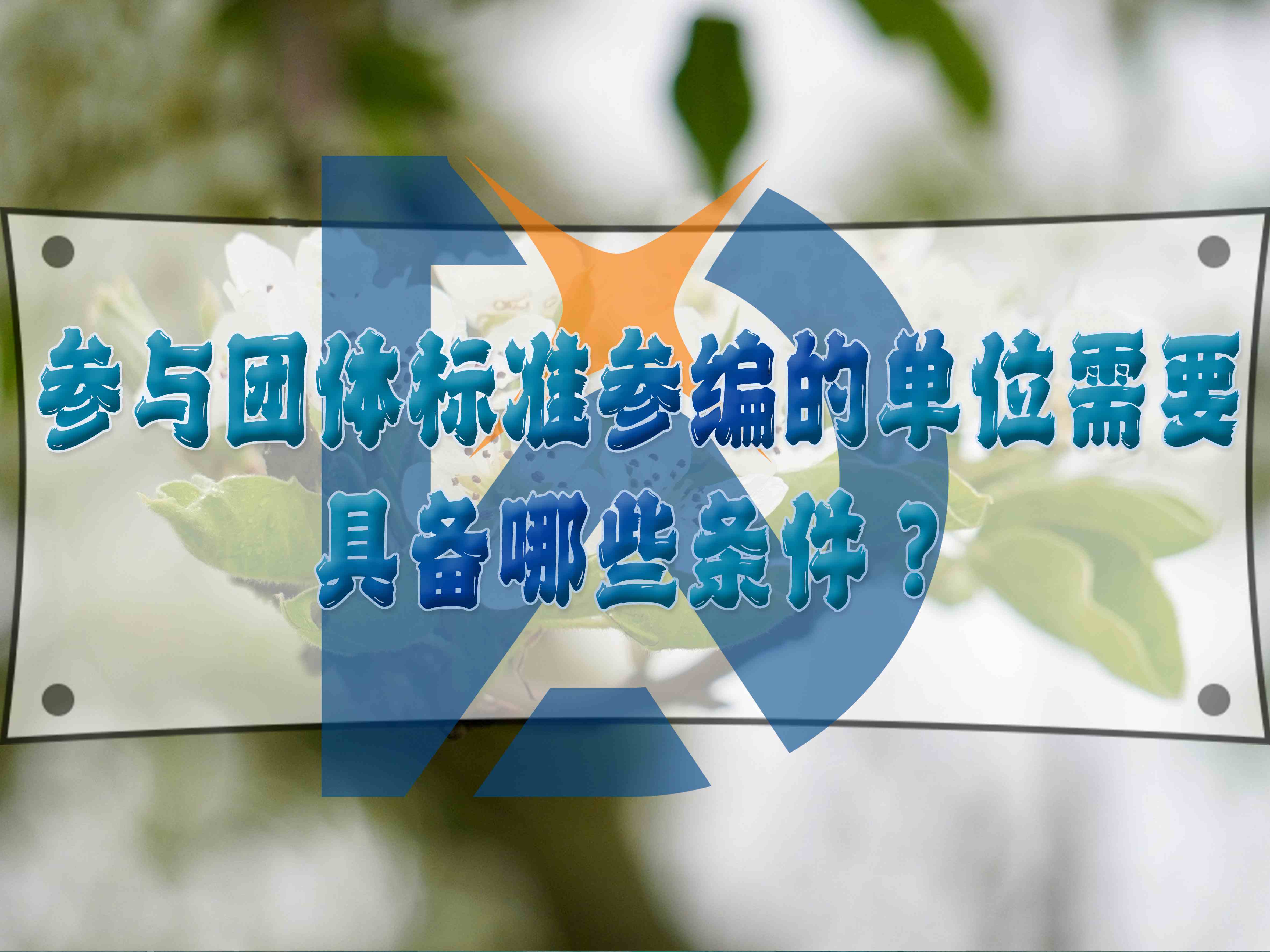 参与团体标准参编的单位需要具备哪些条件？
