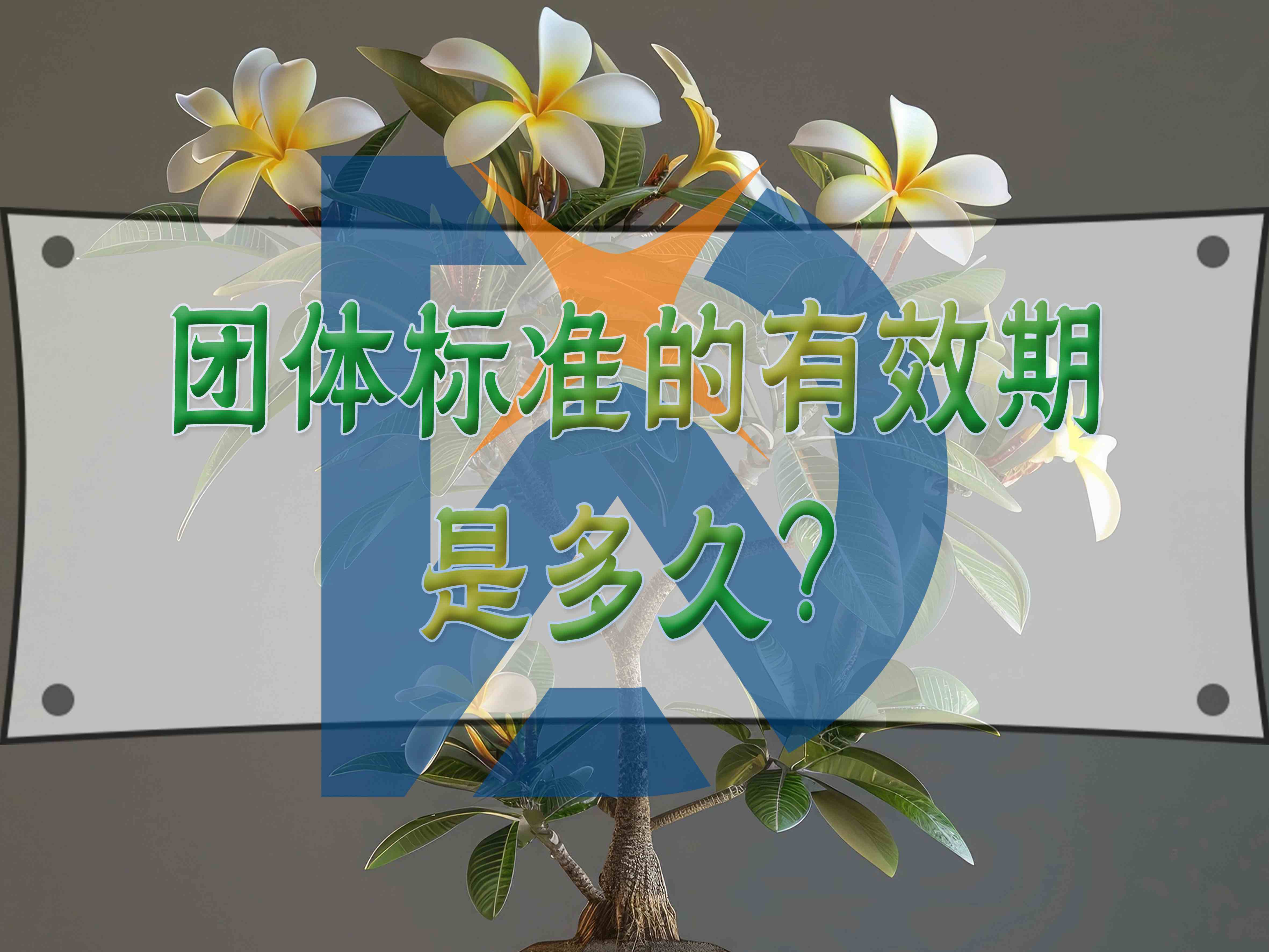 团体标准的有效期是多久？