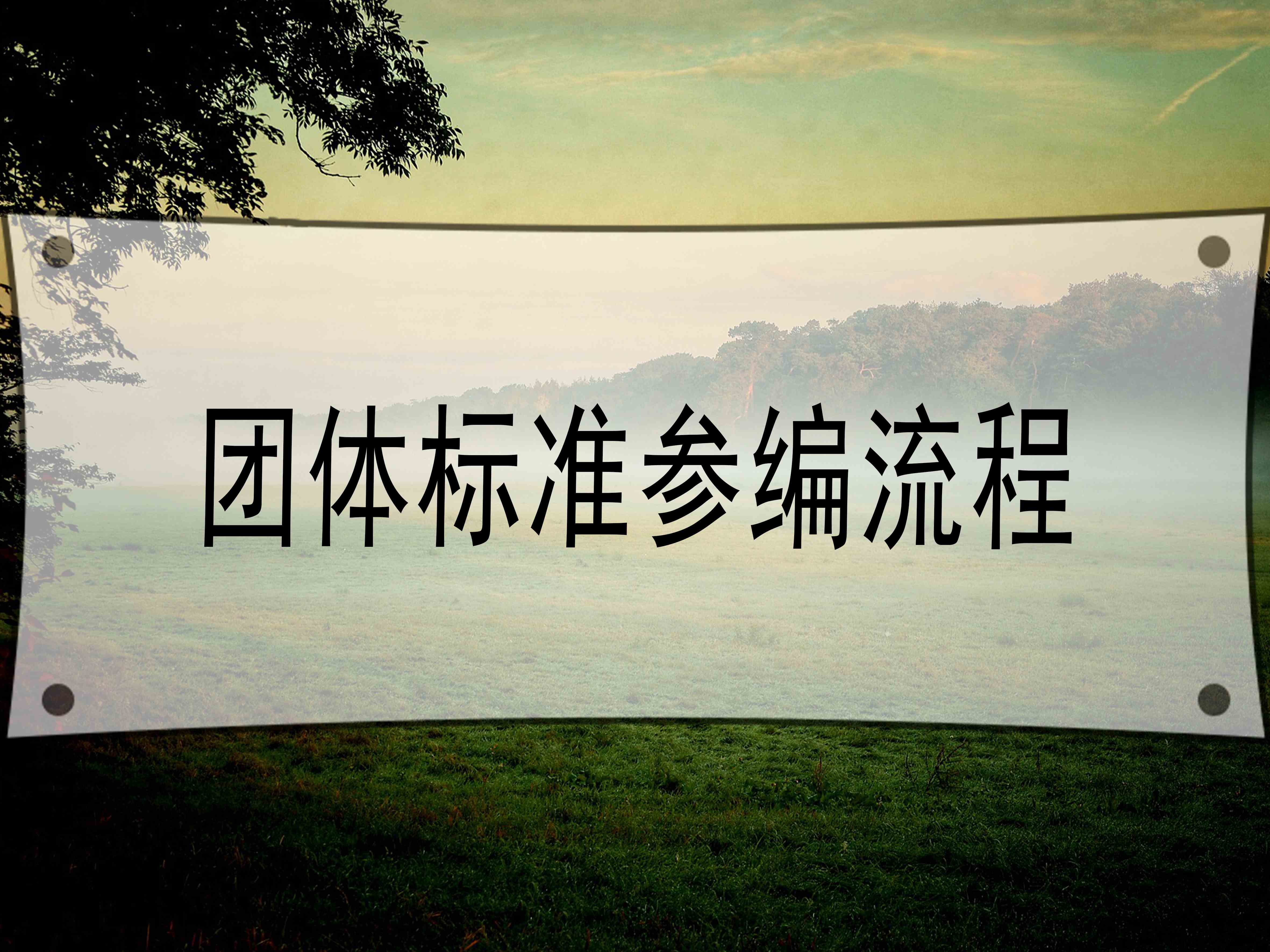 团体标准参编流程