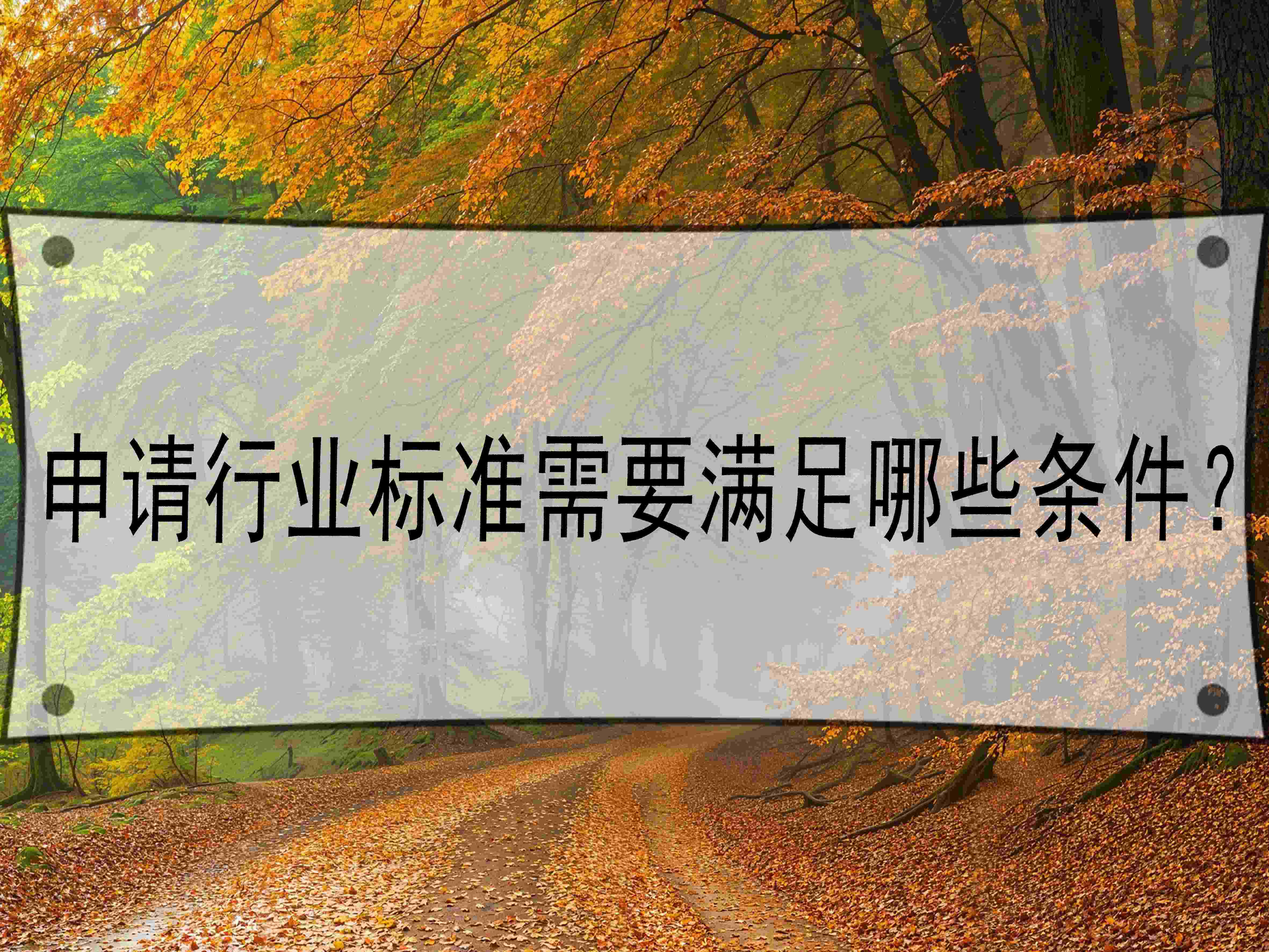 申请行业标准需要满足哪些条件？